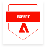 Expert